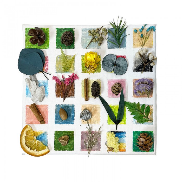 DIY Pressed Dried Flowers Kit for Collection & Painting